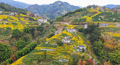 安徽歙縣：山鄉(xiāng)景色美